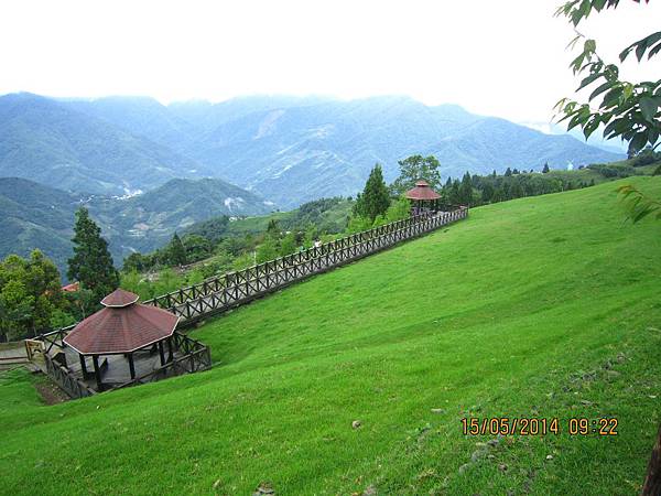 IMG_3130.JPG IMG_3130.JPG