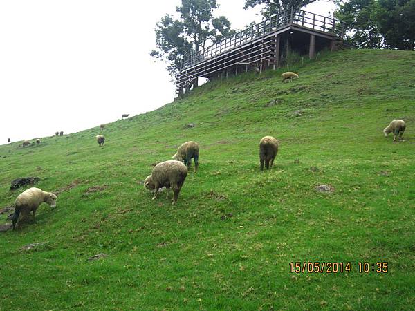 IMG_3160.JPG IMG_3160.JPG