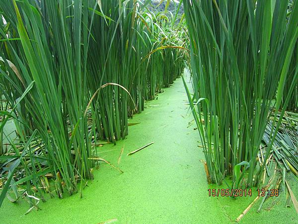 IMG_3174.JPG IMG_3174.JPG