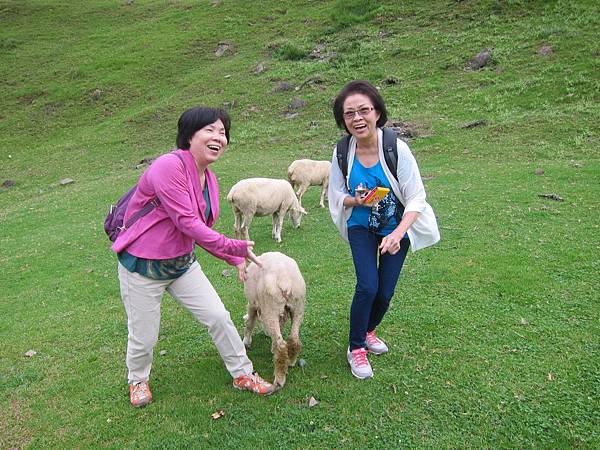 IMG_7932.JPG IMG_7932.JPG