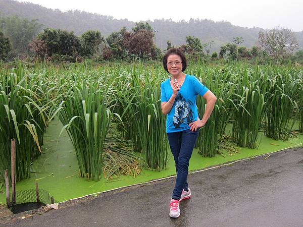 IMG_8010.JPG IMG_8010.JPG