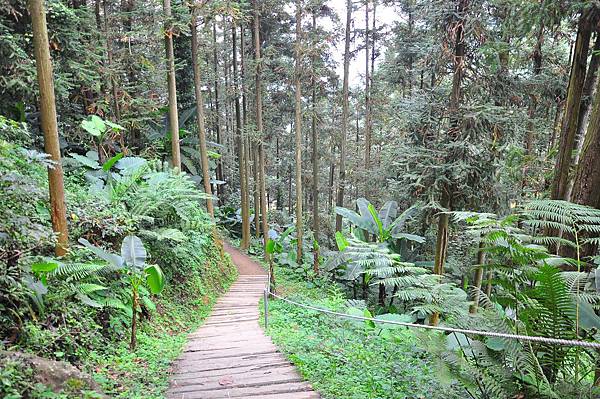 寒溪呢豐山 (155).JPG