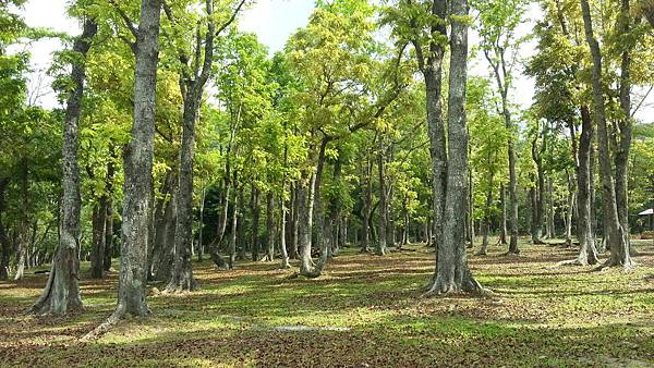 20150417_090134.JPG 20150417_090134.JPG