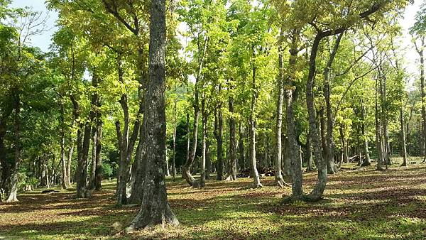 20150417_090847.JPG 20150417_090847.JPG