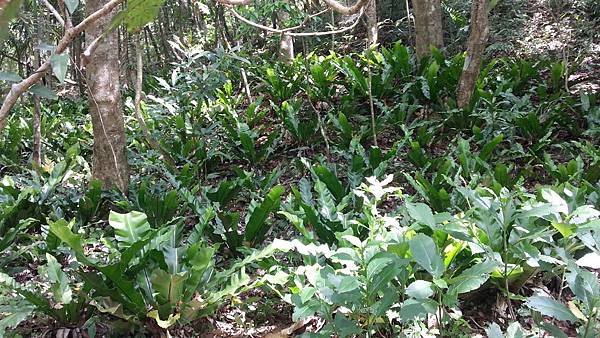 20150417_095318.JPG 20150417_095318.JPG