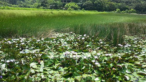 20150417_101558.JPG 20150417_101558.JPG