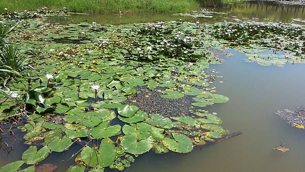 20150417_102339.JPG 20150417_102339.JPG