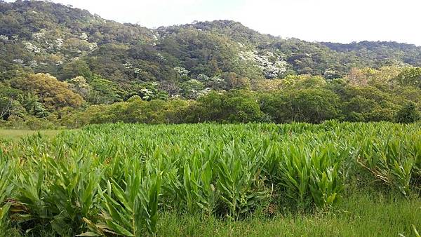 1429249883904.JPG 1429249883904.JPG