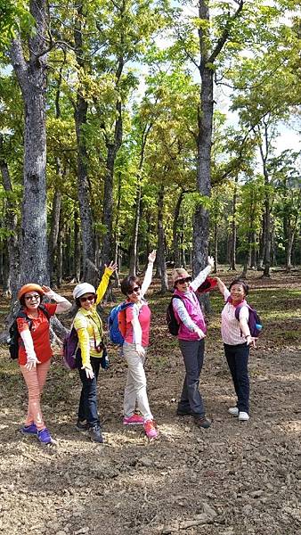 1429249889670.JPG 1429249889670.JPG