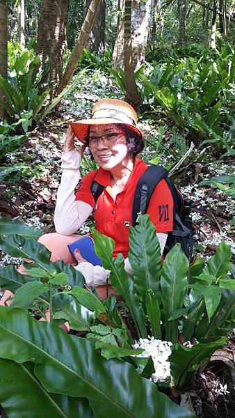 1429250185859.JPG 1429250185859.JPG