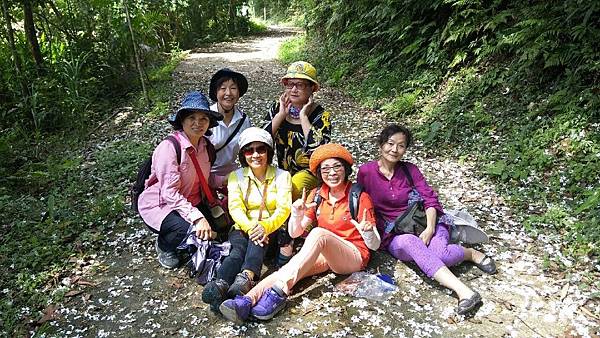 1429250276386.JPG 1429250276386.JPG