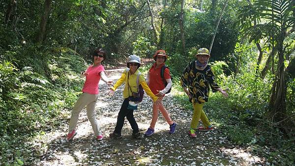 1429250305231.JPG 1429250305231.JPG