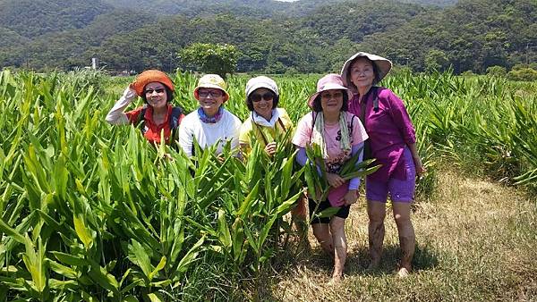 1429250693774.JPG 1429250693774.JPG