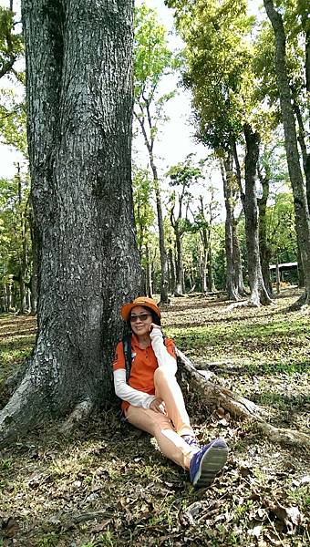 1429253149654.JPG 1429253149654.JPG