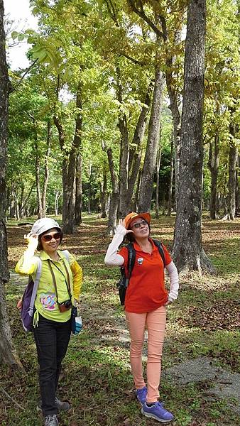 1429250772906.JPG 1429250772906.JPG