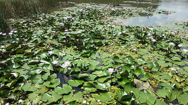 20150417_101552.JPG 20150417_101552.JPG