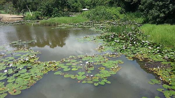 20150417_101619.JPG 20150417_101619.JPG