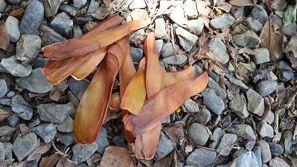 20150417_102146.JPG 20150417_102146.JPG