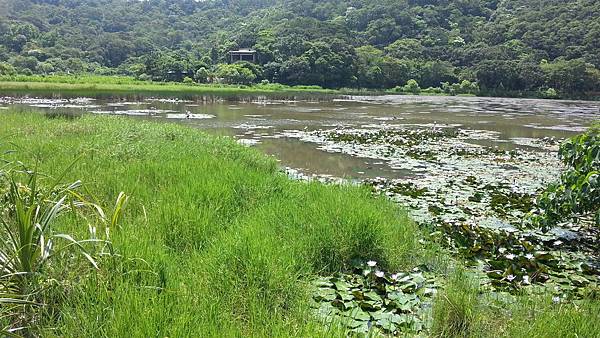 20150417_102221.JPG 20150417_102221.JPG