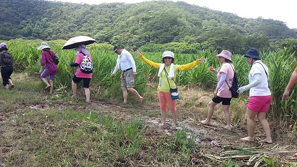 20150417_105506.JPG 20150417_105506.JPG