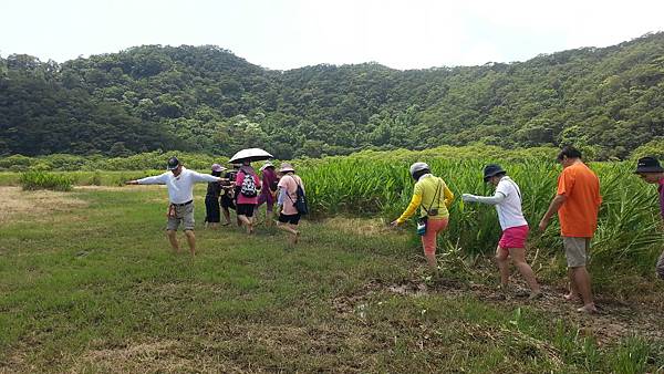 20150417_105519.JPG 20150417_105519.JPG