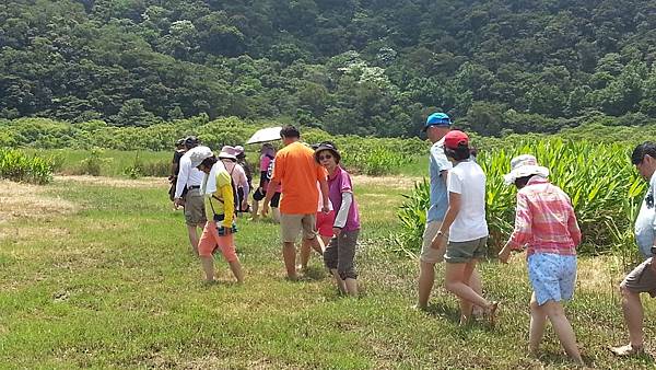 20150417_105538.JPG 20150417_105538.JPG