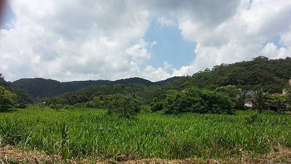 20150417_112814.JPG 20150417_112814.JPG