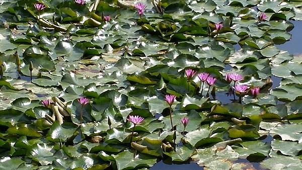 1429249865128.JPG 1429249865128.JPG