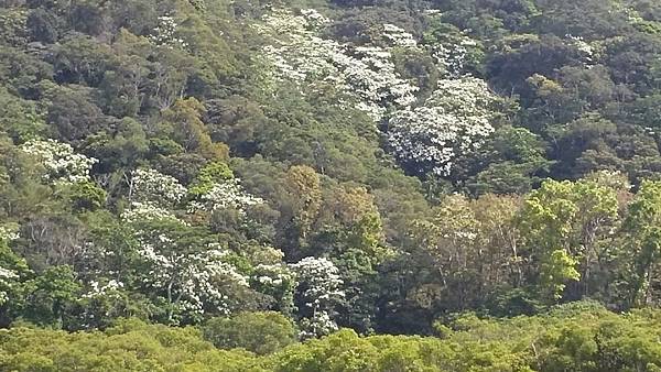 1429249881314.JPG 1429249881314.JPG