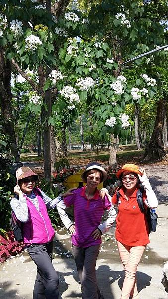 1429250079707.JPG 1429250079707.JPG