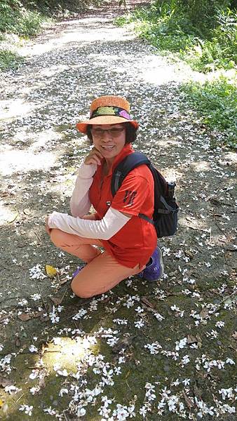 1429250315847.JPG 1429250315847.JPG