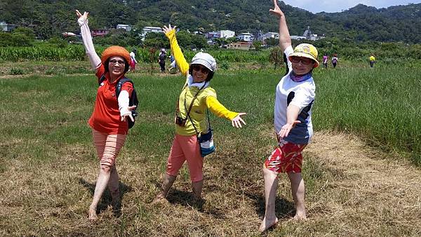 1429250680858.JPG 1429250680858.JPG