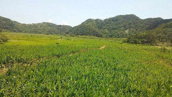 1429250715749.JPG 1429250715749.JPG