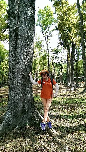 1429253152883.JPG 1429253152883.JPG