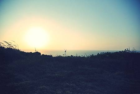 DSC_2878.JPG_effected