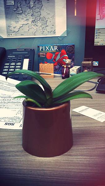 DSC_0328.jpg_effected