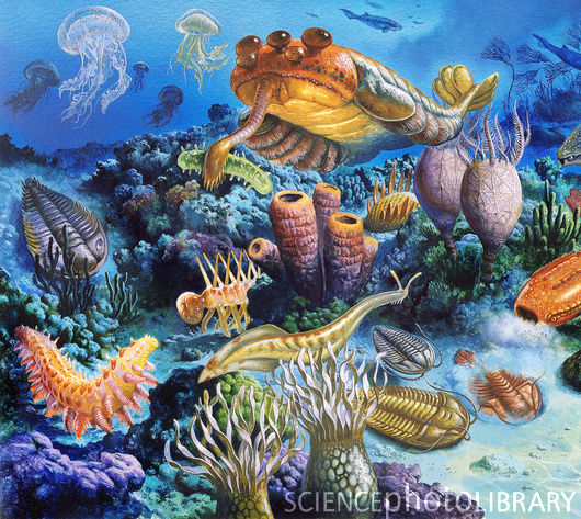 E4420684-Palaeozoic_arthropods-SPL.jpg E4420684-Palaeozoic_arthropods-SPL.jpg