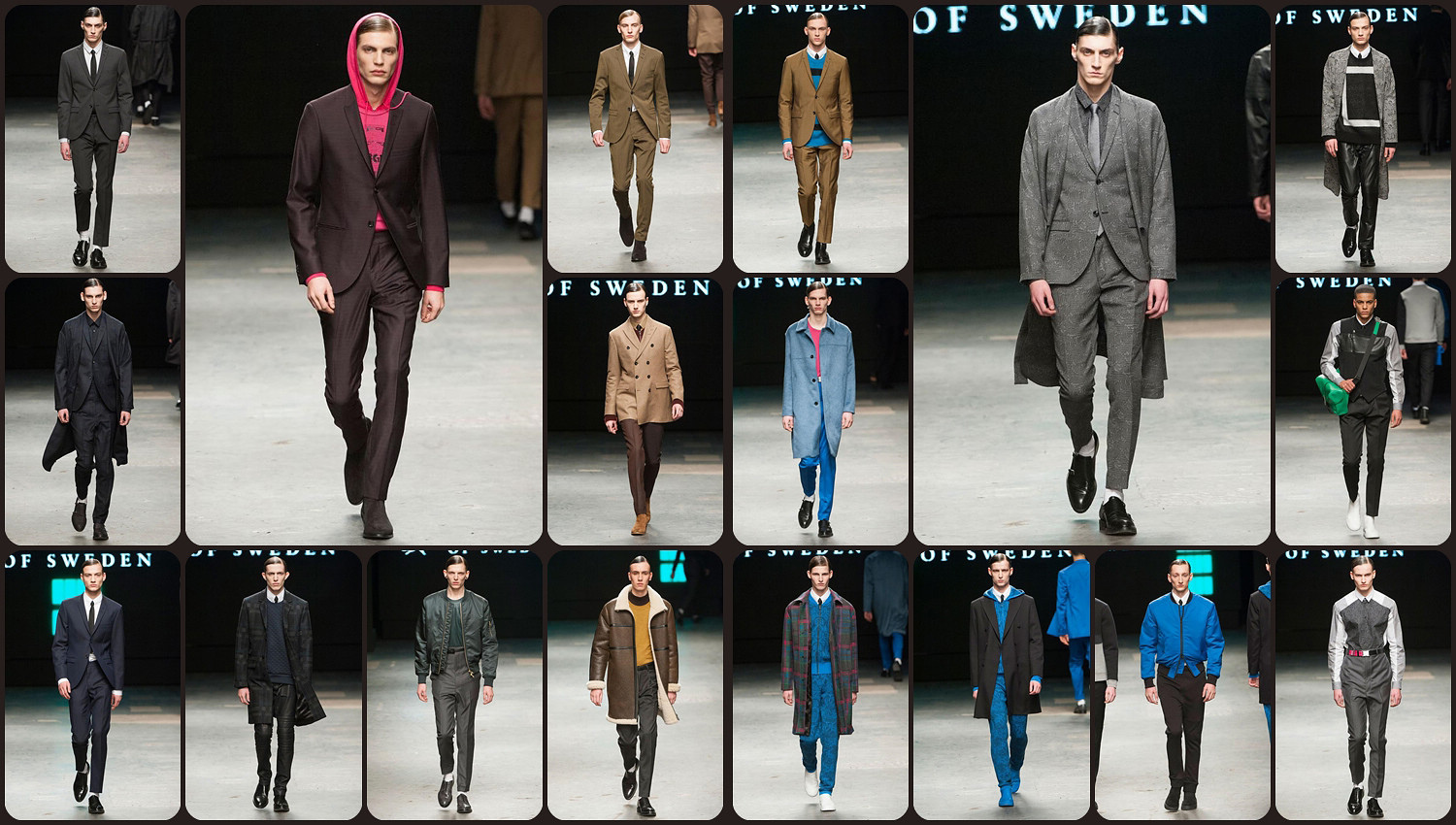 Tiger of Sweden.jpg Tiger of Sweden.jpg