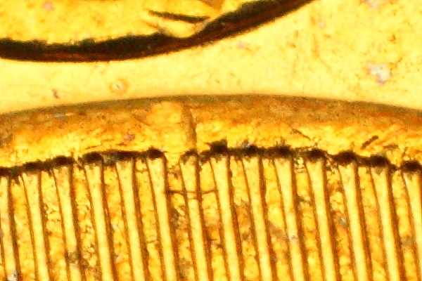 IMG_2875_1.JPG IMG_2875_1.JPG