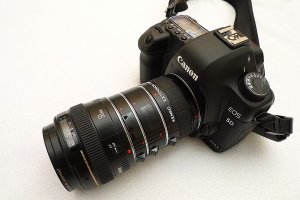 P1020594.jpg P1020594.jpg