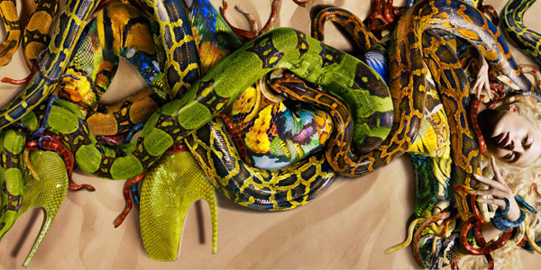 alexander-mcqueen-spring-2010-ad-campaign-220110-1.jpg