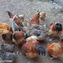 200842155245659_2.jpg 200842155245659_2.jpg