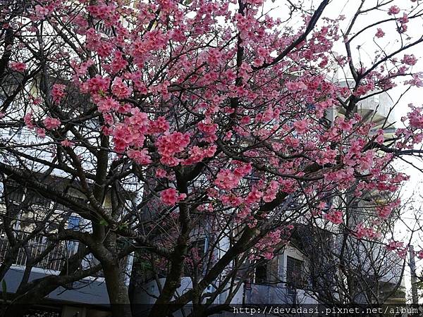 20140131_153134 20140131_153134