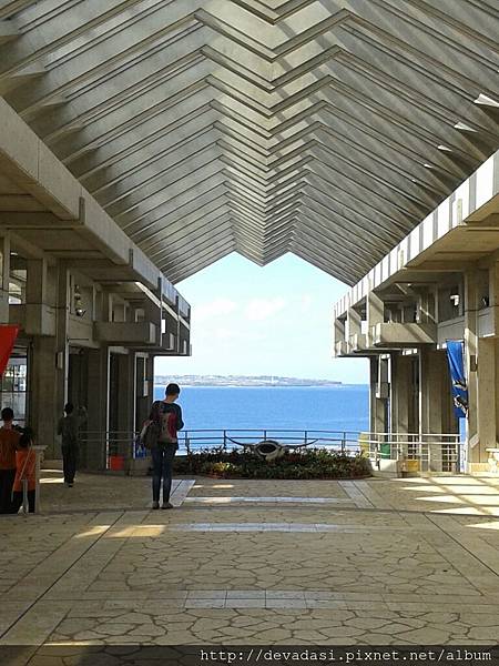 20140202_133932 20140202_133932