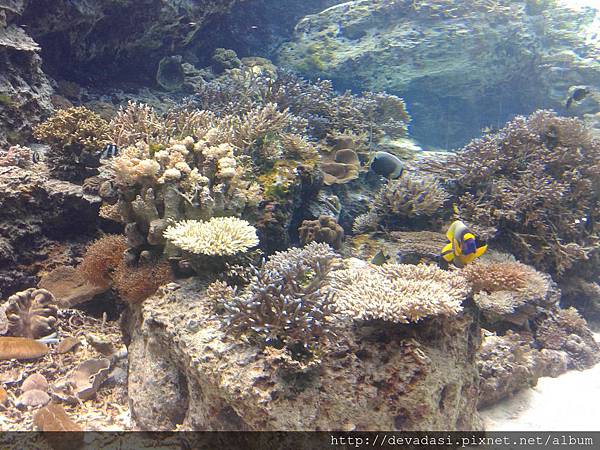 20140202_134520 20140202_134520