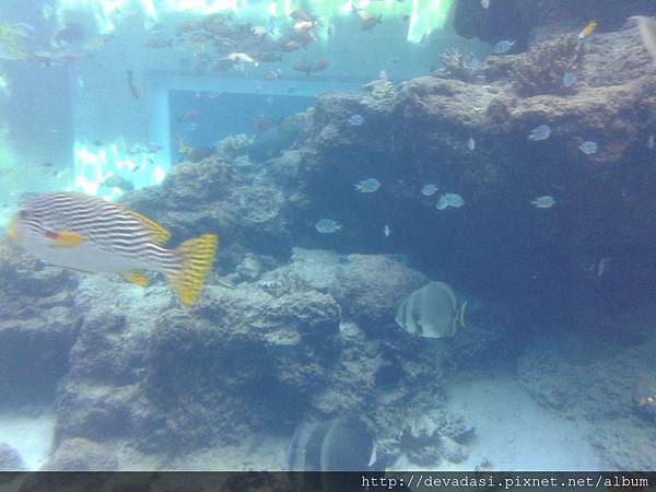 20140202_134652 20140202_134652