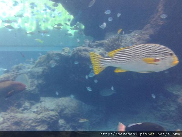 20140202_134706 20140202_134706