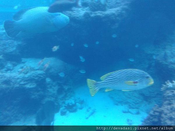 20140202_134753 20140202_134753