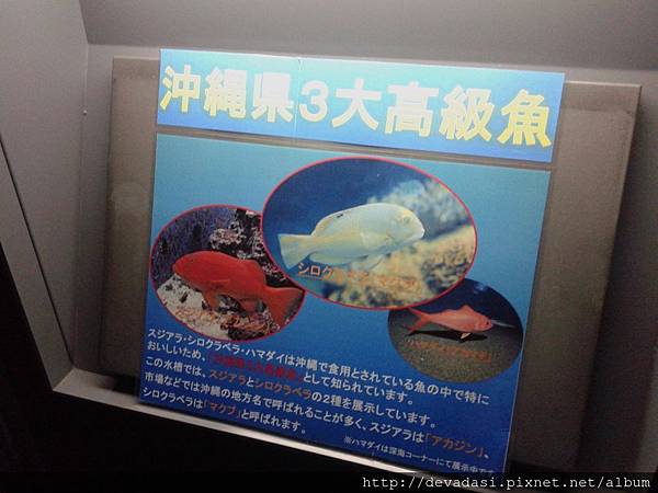 20140202_134825 20140202_134825