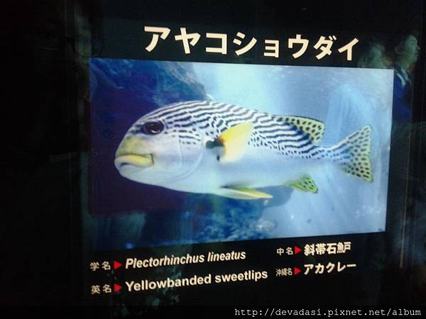 20140202_134849 20140202_134849